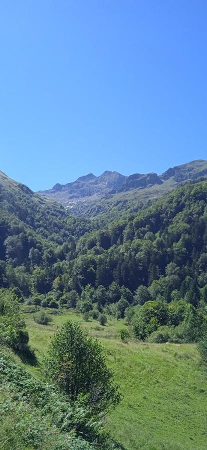 Studio Le Mont Beas أولوس ليه بان المظهر الخارجي الصورة